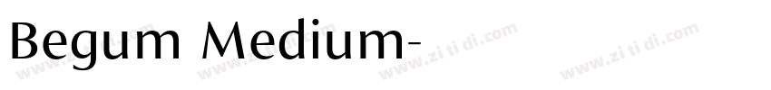 Begum Medium字体转换